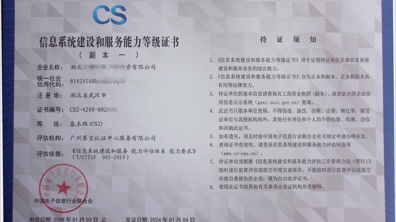 成都信息技术服务，成本构成解析与预算规划